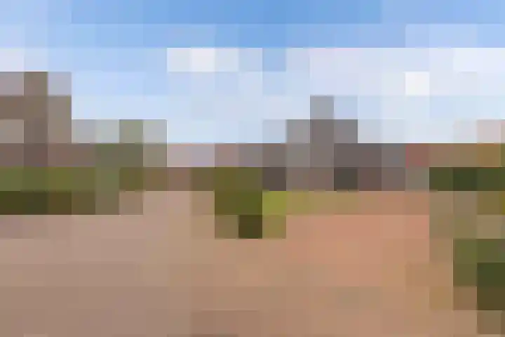 Haskermieden 6 Oudehaske thumbnail 43