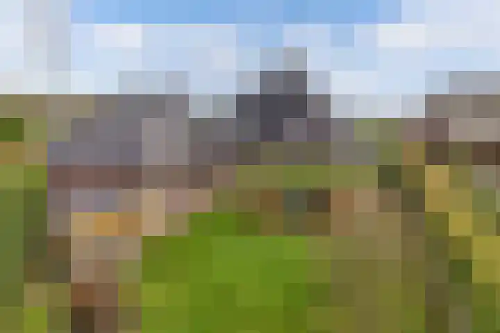 Haskermieden 6 Oudehaske thumbnail 45