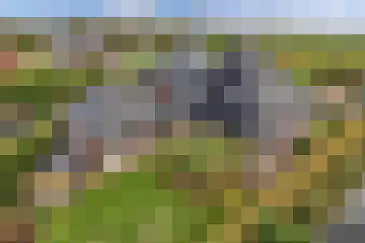 Haskermieden 6 Oudehaske thumbnail 46
