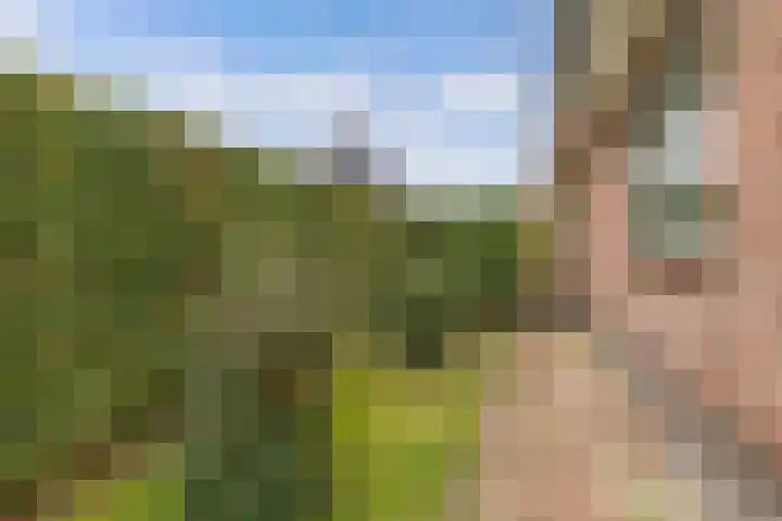 Haskermieden 6 Oudehaske thumbnail 48