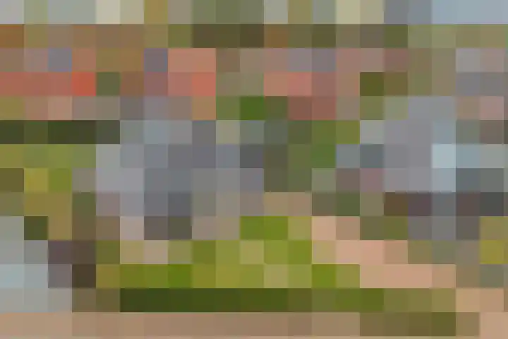 Haskermieden 6 Oudehaske thumbnail 50