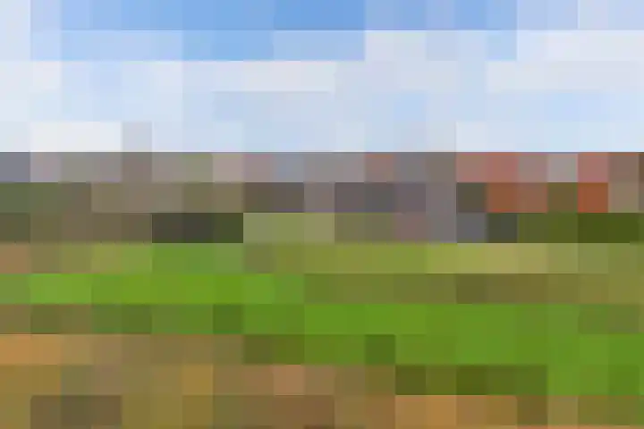 Haskermieden 6 Oudehaske thumbnail 51