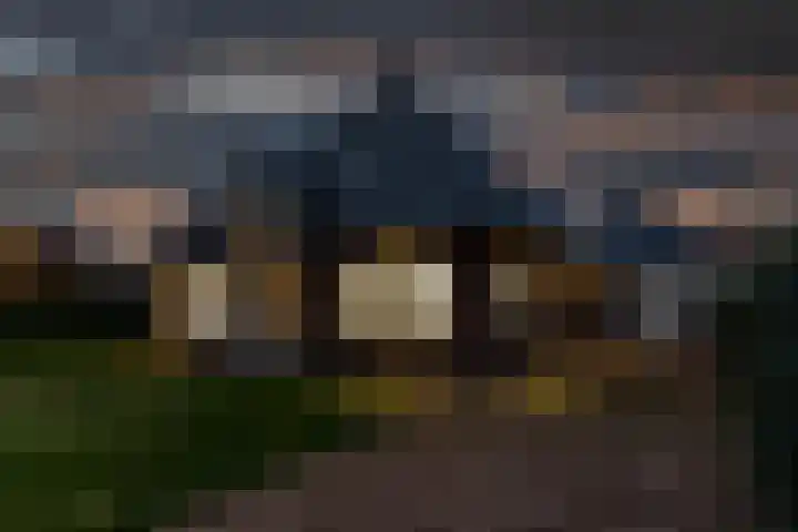 Haskermieden 6 Oudehaske thumbnail 53