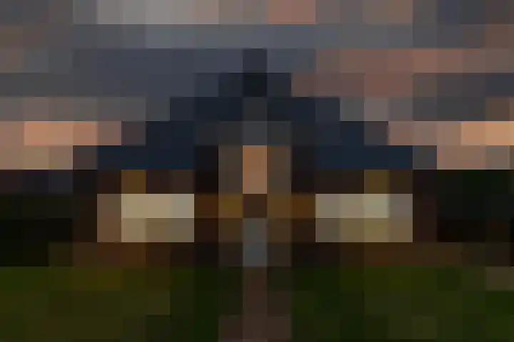 Haskermieden 6 Oudehaske thumbnail 54
