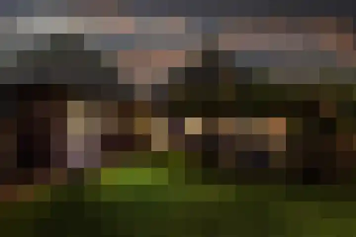 Haskermieden 6 Oudehaske thumbnail 55