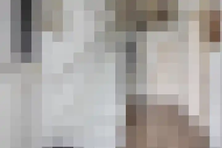Haskermieden 6 Oudehaske thumbnail 6
