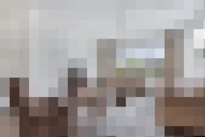 Haskermieden 6 Oudehaske thumbnail 8