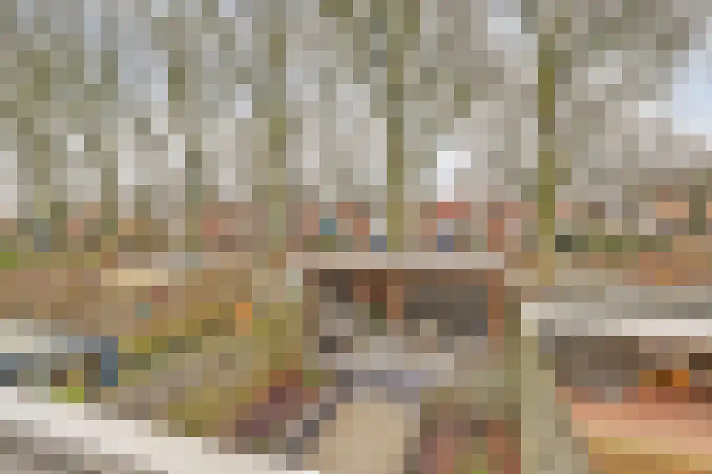 Haspel 10 Beuningen Gld thumbnail 18