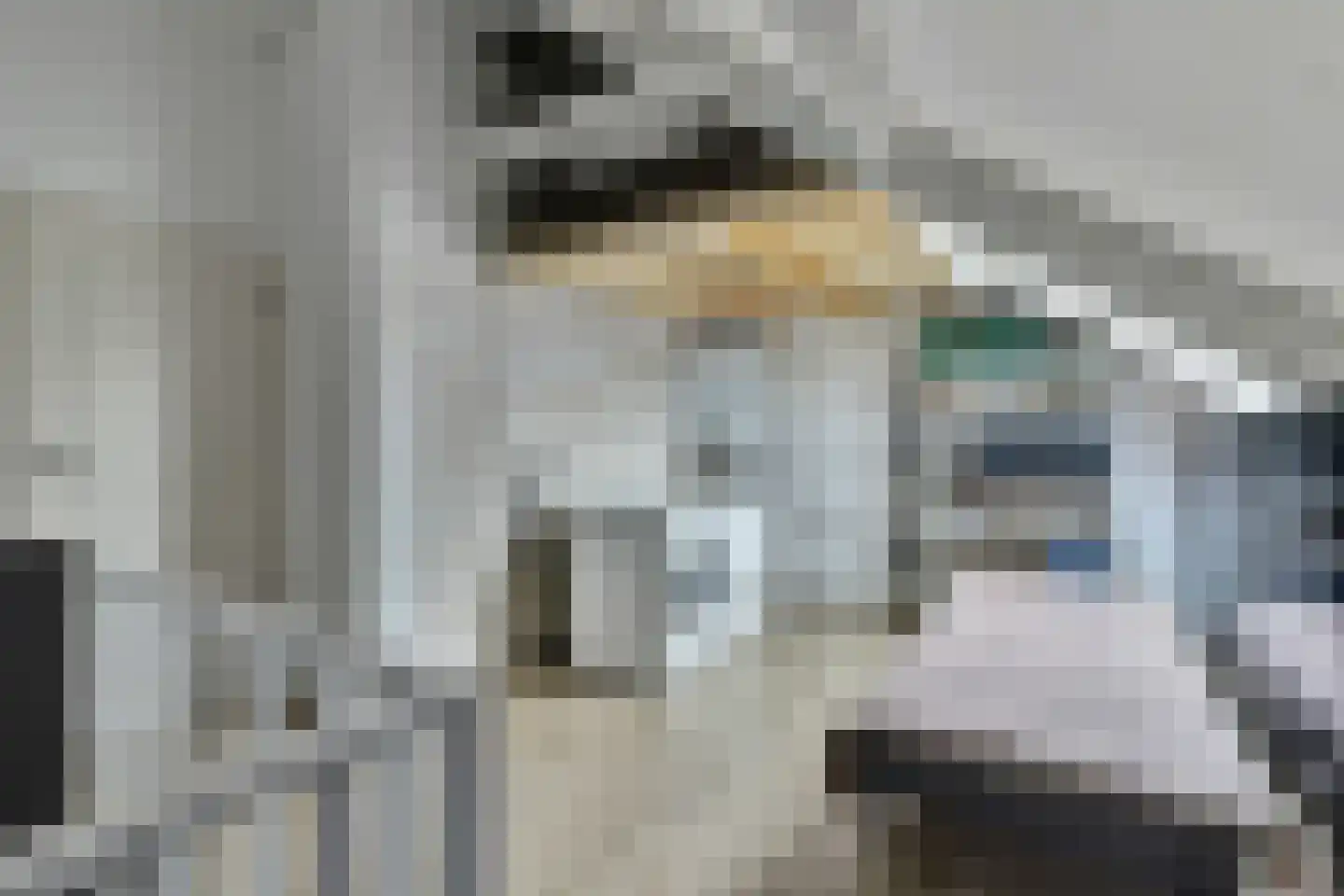 Haspel 10 Beuningen Gld thumbnail 27