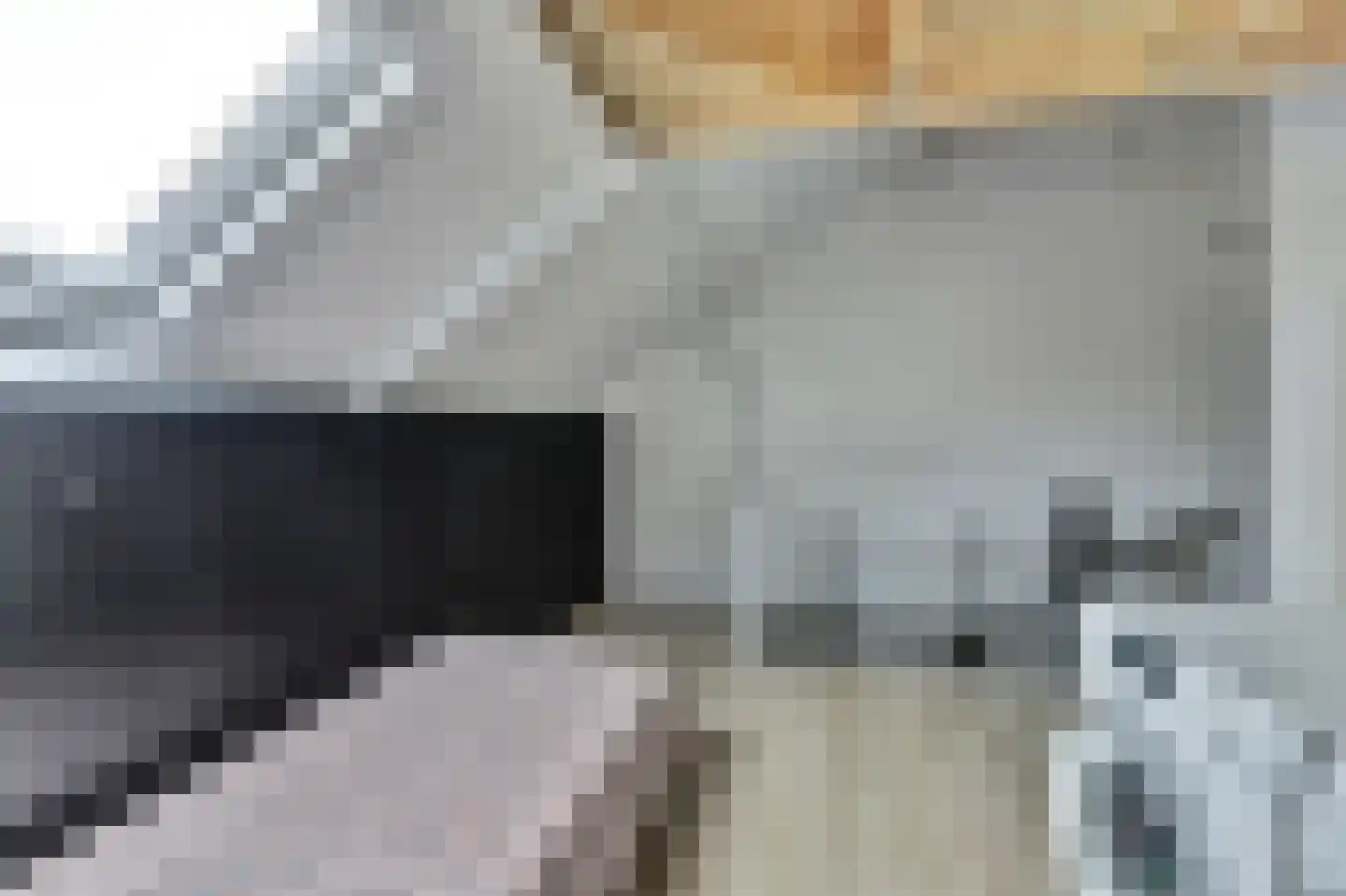 Haspel 10 Beuningen Gld thumbnail 28