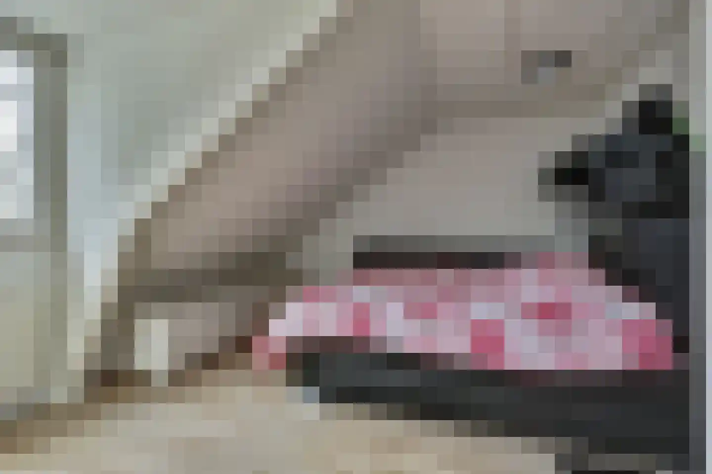 Haspel 10 Beuningen Gld thumbnail 30