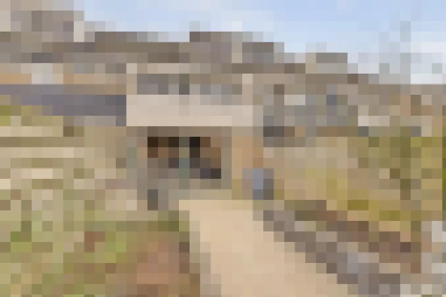 Haspel 10 Beuningen Gld thumbnail 32