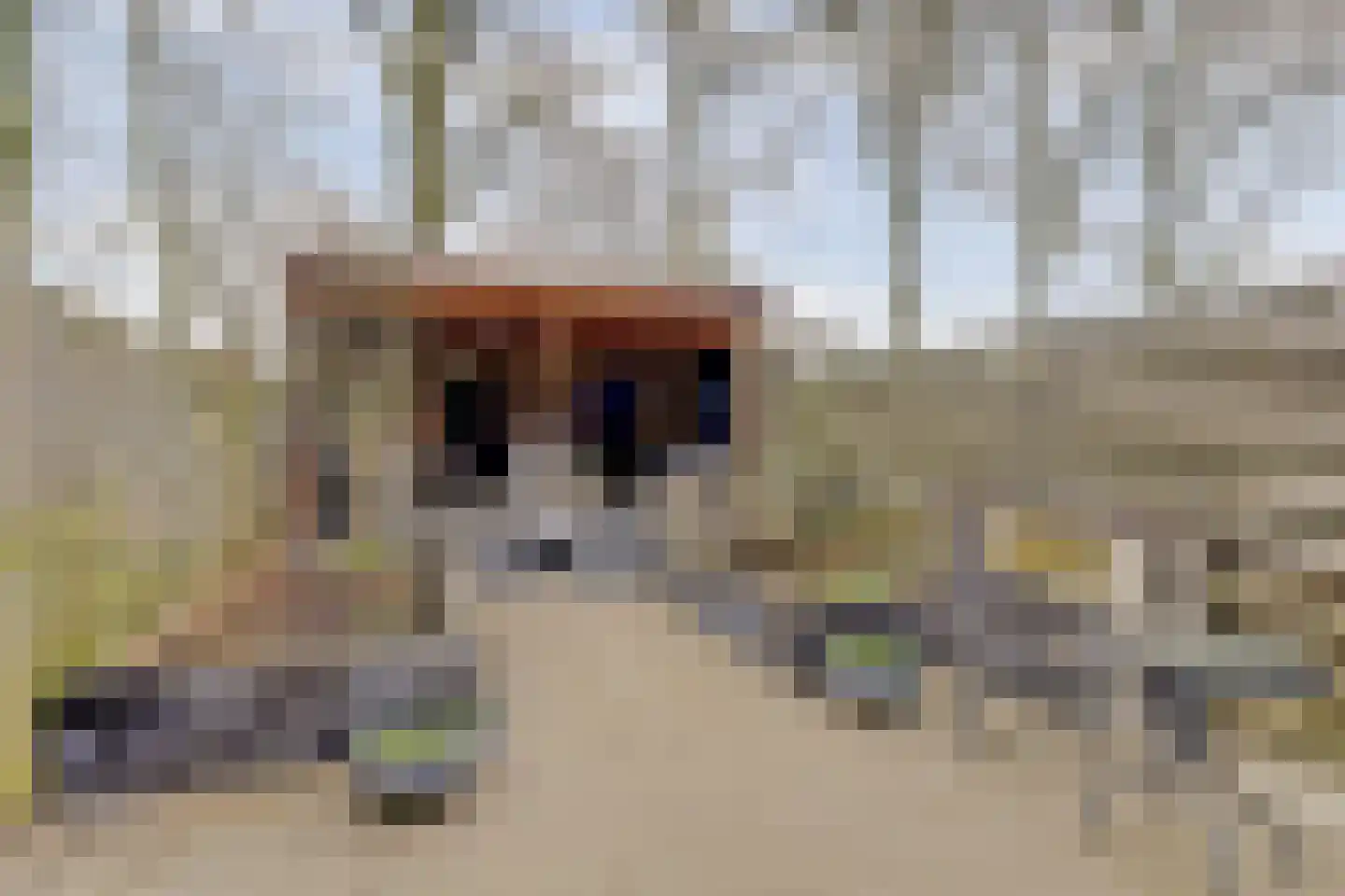 Haspel 10 Beuningen Gld thumbnail 33