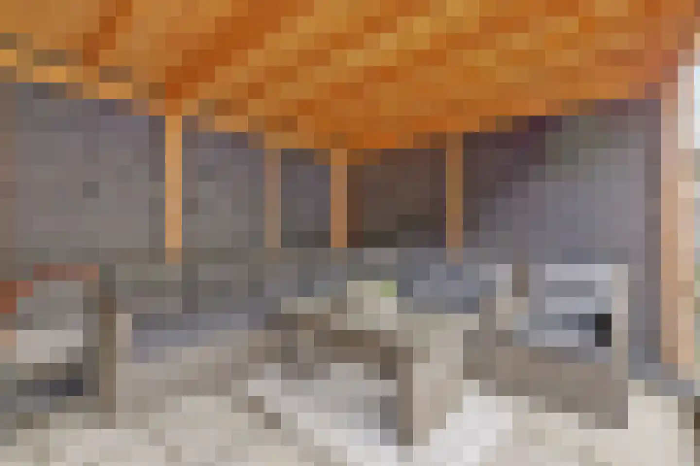 Haspel 10 Beuningen Gld thumbnail 36