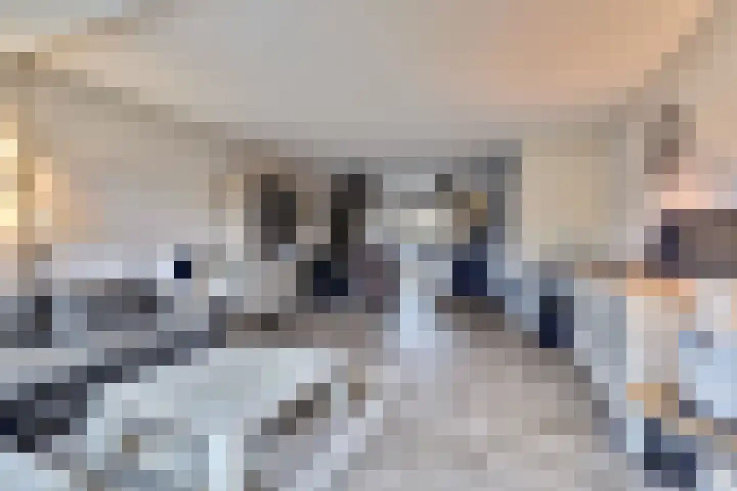 Haspel 10 Beuningen Gld thumbnail 8