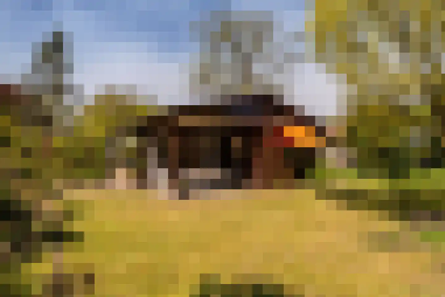 Haspel 17 85 Ermelo thumbnail 24
