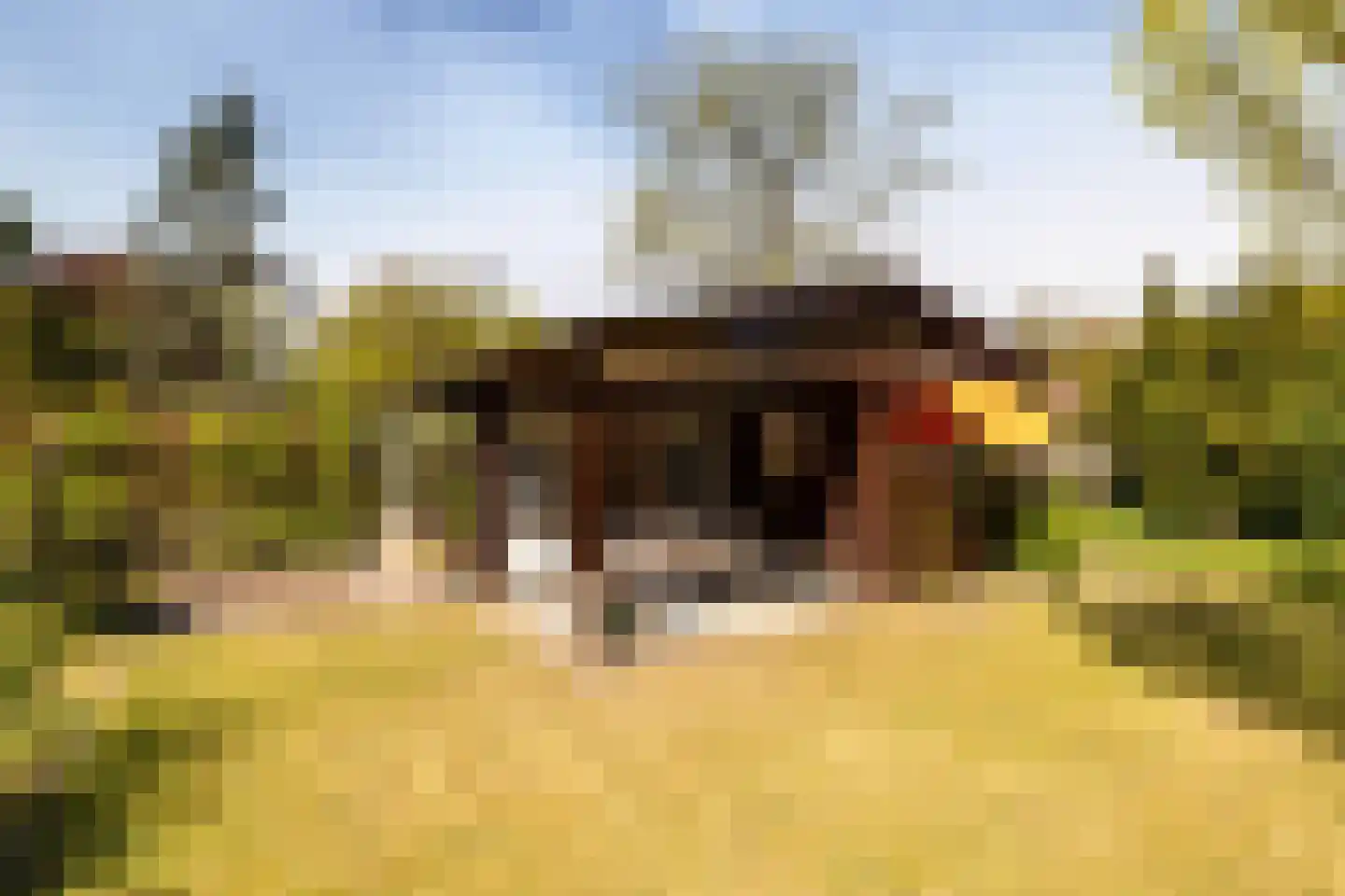 Haspel 17 85 Ermelo thumbnail 25