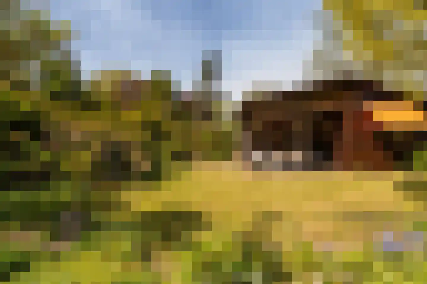 Haspel 17 85 Ermelo thumbnail 27