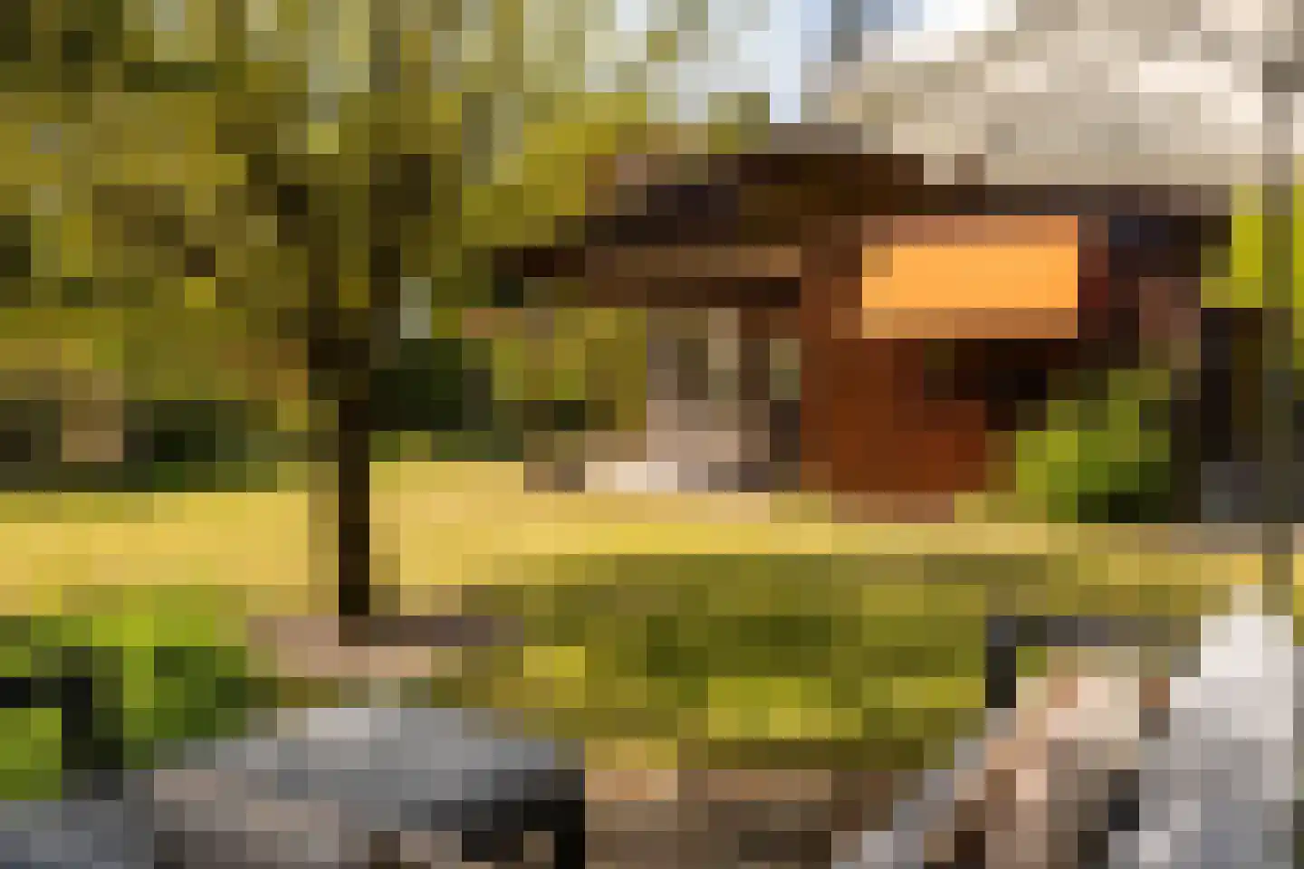 Haspel 17 85 Ermelo thumbnail 29