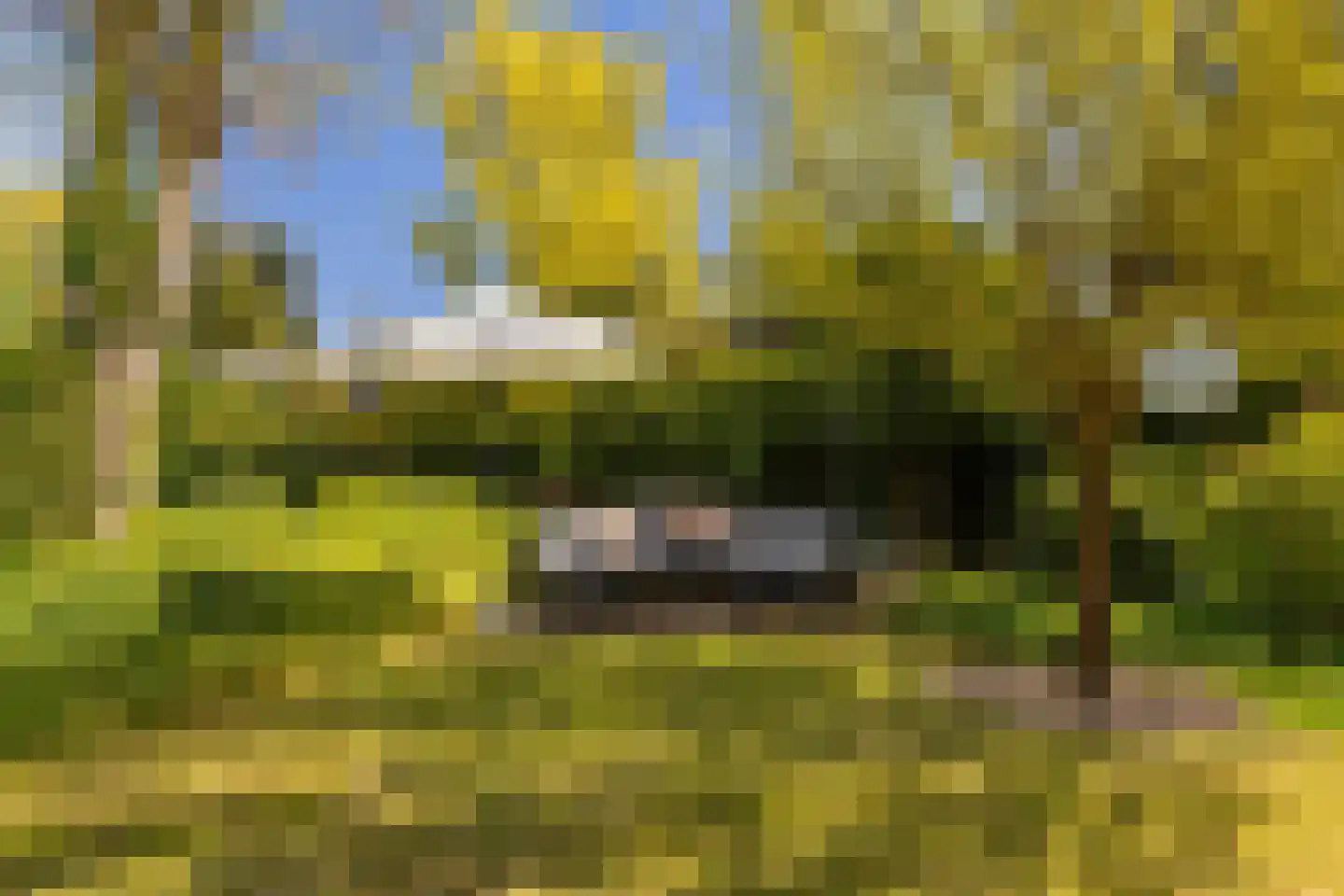 Haspel 17 85 Ermelo foto 3