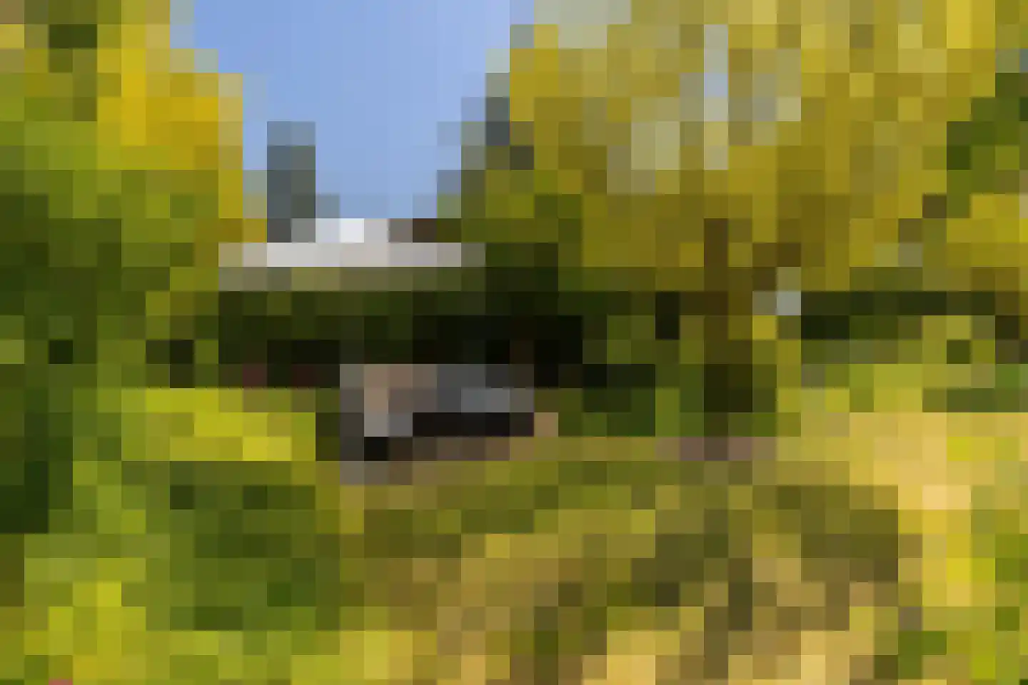 Haspel 17 85 Ermelo thumbnail 30