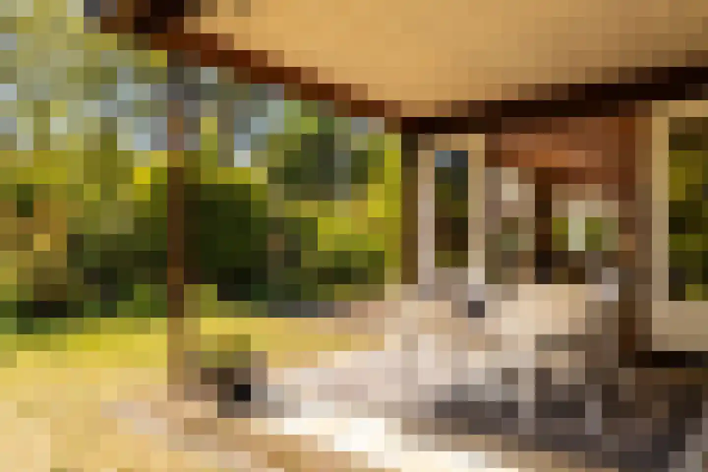 Haspel 17 85 Ermelo thumbnail 4