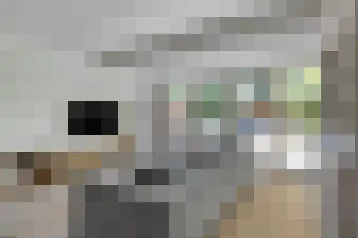 Haspel 24 Beuningen Gld thumbnail 11