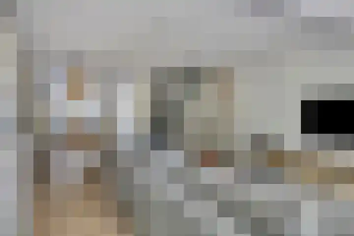 Haspel 24 Beuningen Gld thumbnail 12