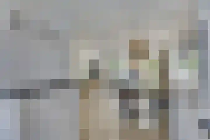 Haspel 24 Beuningen Gld thumbnail 16