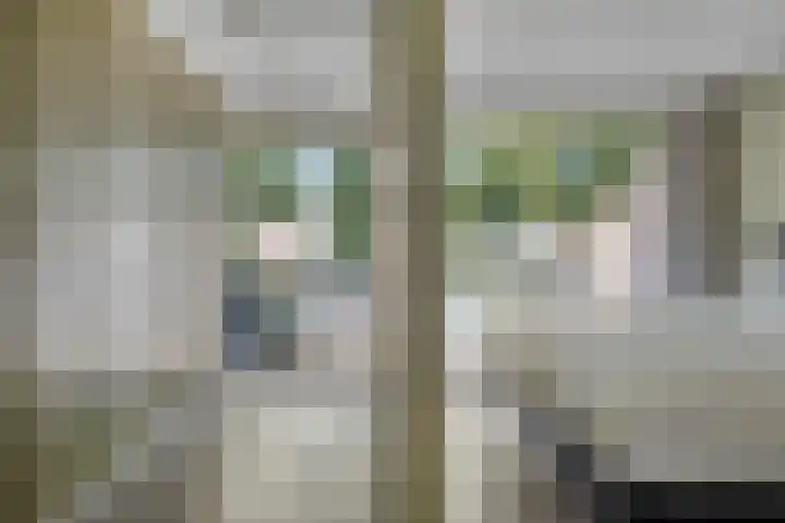Haspel 24 Beuningen Gld thumbnail 18