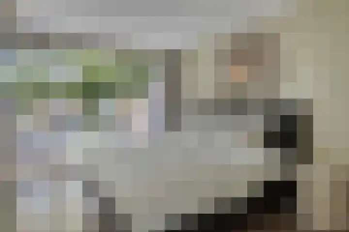 Haspel 24 Beuningen Gld thumbnail 19