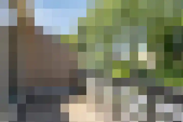 Haspel 24 Beuningen Gld thumbnail 22