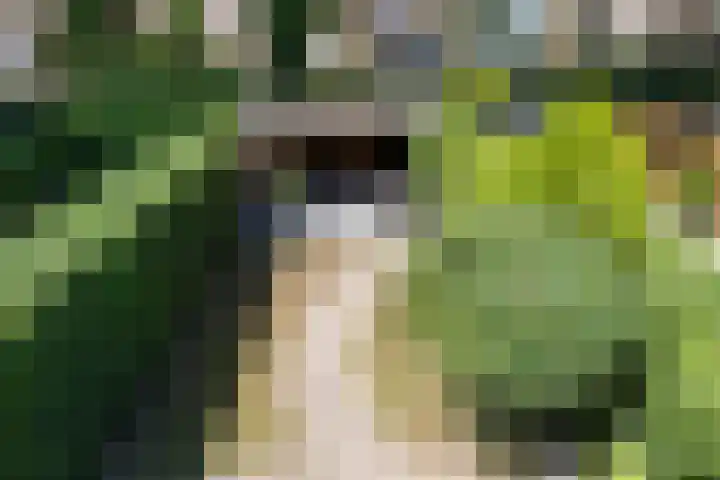 Haspel 24 Beuningen Gld thumbnail 23