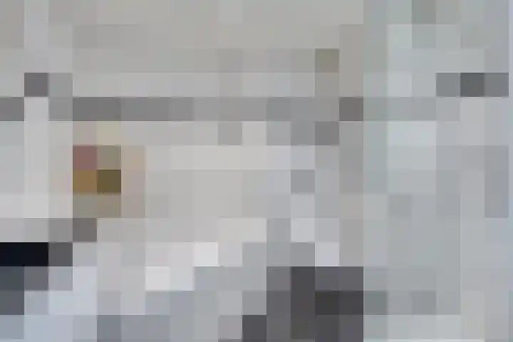 Haspel 24 Beuningen Gld thumbnail 24