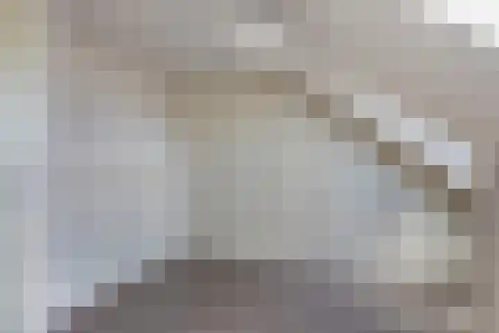Haspel 24 Beuningen Gld thumbnail 32