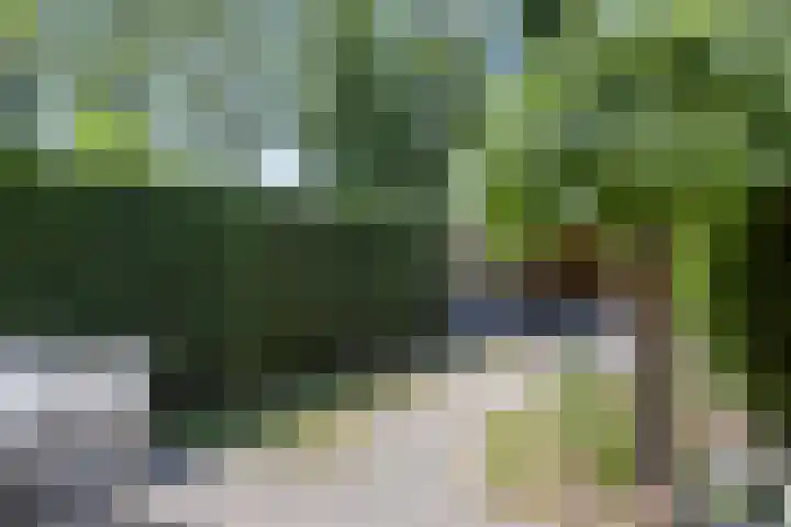 Haspel 24 Beuningen Gld thumbnail 35