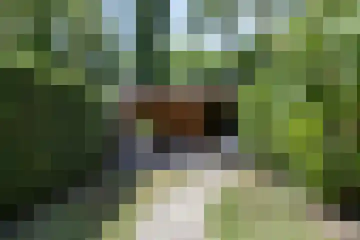 Haspel 24 Beuningen Gld thumbnail 37