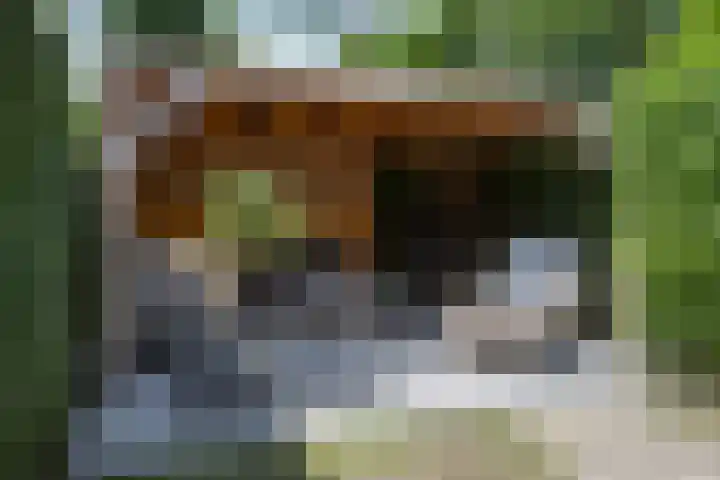 Haspel 24 Beuningen Gld thumbnail 38
