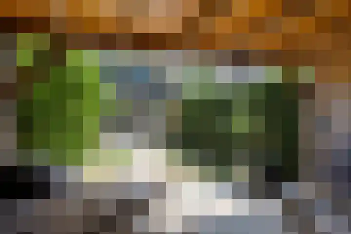 Haspel 24 Beuningen Gld thumbnail 40