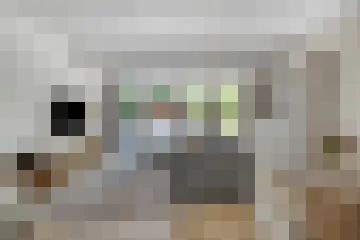 Haspel 24 Beuningen Gld thumbnail 8