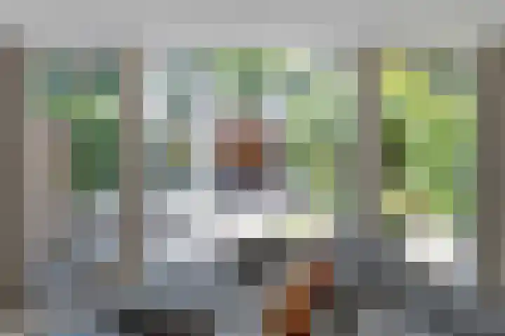 Haspel 24 Beuningen Gld thumbnail 9