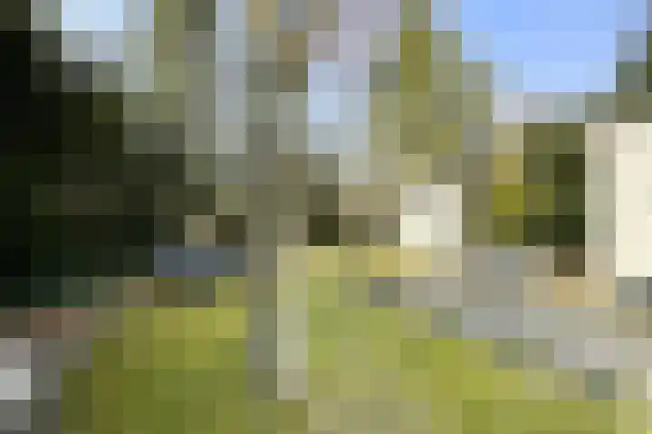 Haspel 27 8 Ermelo thumbnail 19