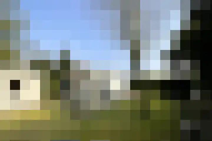 Haspel 27 8 Ermelo thumbnail 20