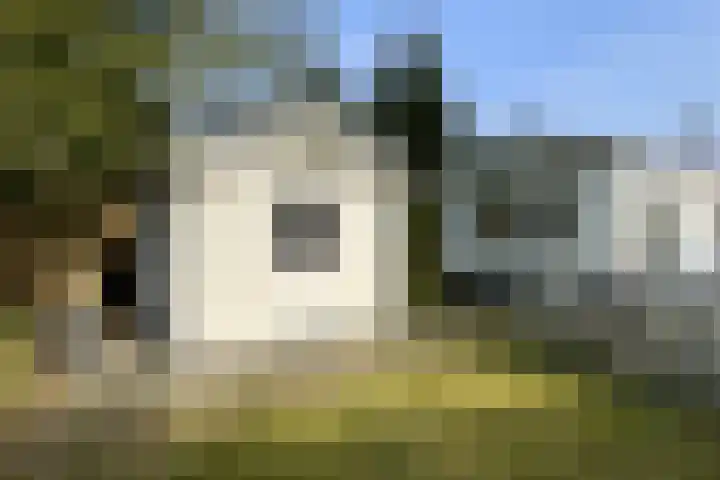 Haspel 27 8 Ermelo thumbnail 21