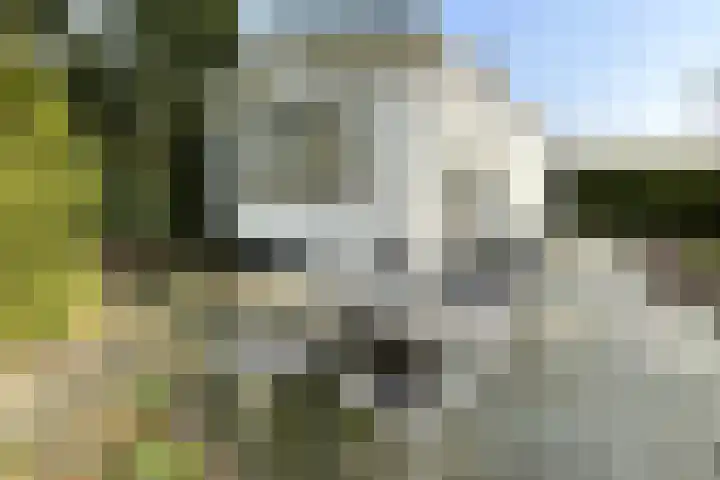 Haspel 27 8 Ermelo thumbnail 22