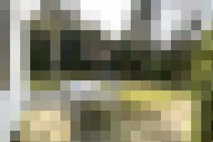 Haspel 27 8 Ermelo thumbnail 23