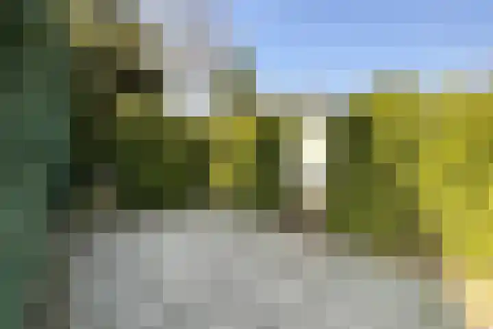 Haspel 27 8 Ermelo thumbnail 24