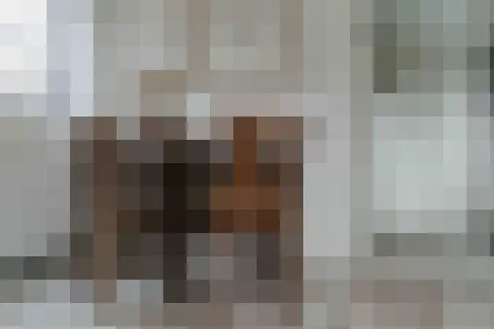 Haspel 27 8 Ermelo thumbnail 4