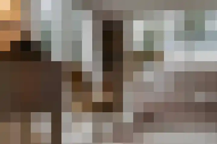 Haspel 27 8 Ermelo thumbnail 7