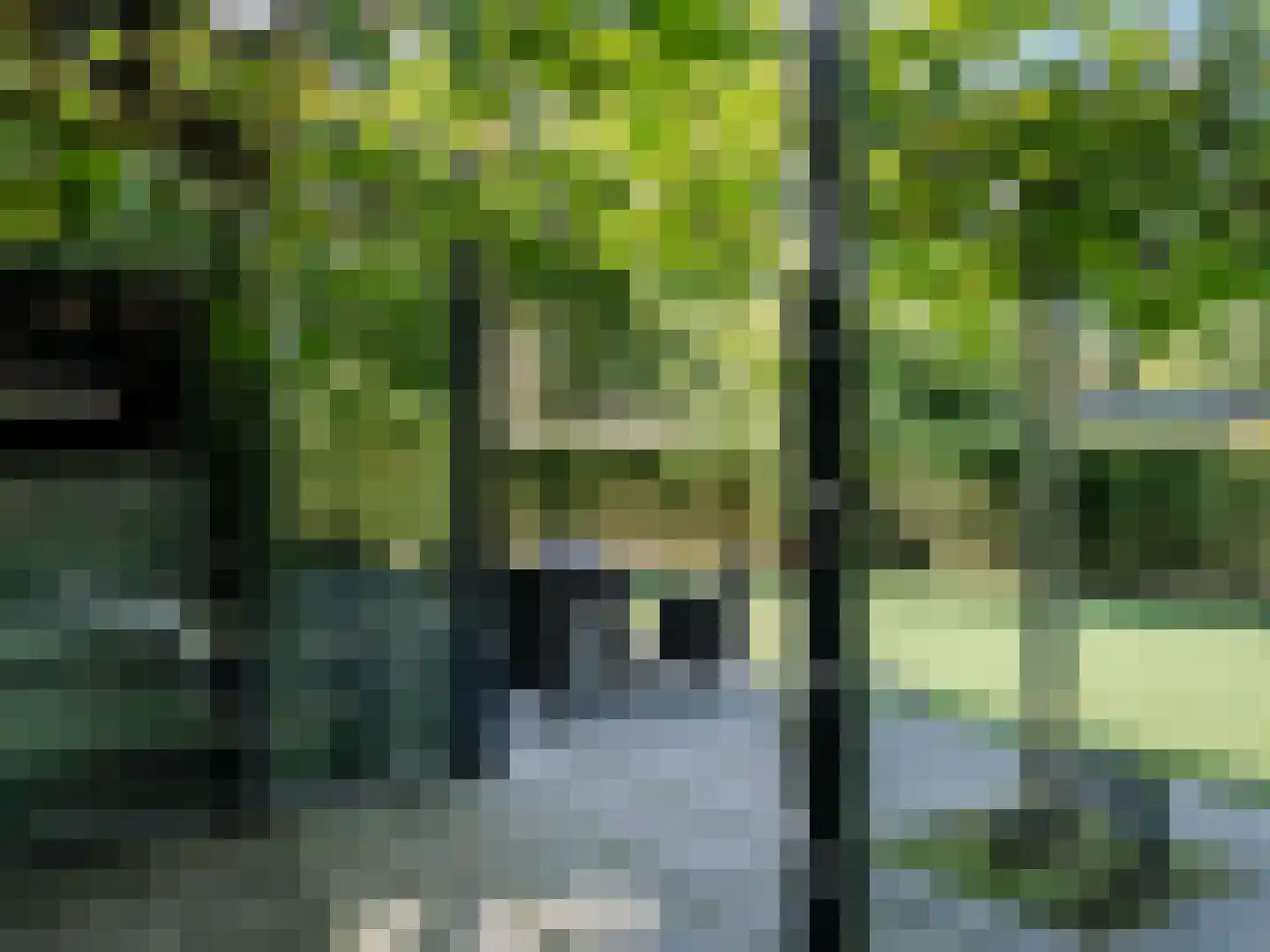 Haspel 29 13 Ermelo thumbnail 20
